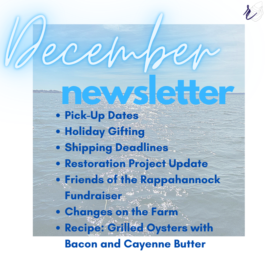 December 2020 Newsletter & Updates