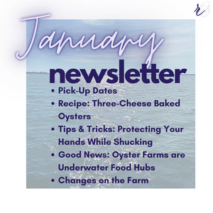 January 2021 Newsletter & Updates